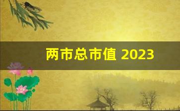两市总市值 2023(两市总市值)_https://www.luoxuangg888.com_北交所_第1张